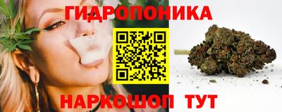мяу мяу мука Бердск