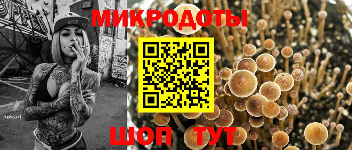 Галлюциногенные грибы прущие грибы Егорьевск