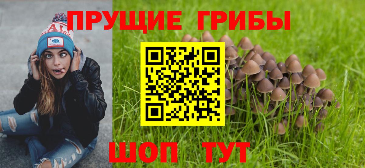 Псилоцибиновые грибы Cubensis  Вход с VPN  Егорьевск  Псилоцибиновые грибы MAGIC MUSHROOMS 